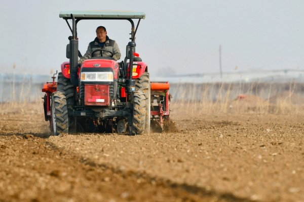 河南小麦什么时候播种，主要集中在10月份