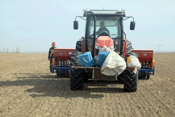 河南小麦什么时候播种，主要集中在10月份