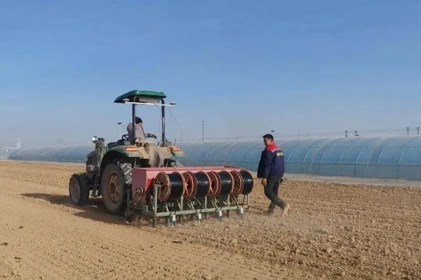 河南小麦什么时候播种，主要集中在10月份