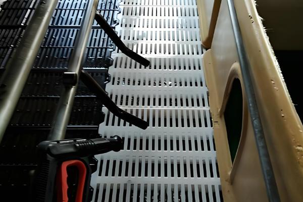 猪舍如何清洁，先将杂质清理干净