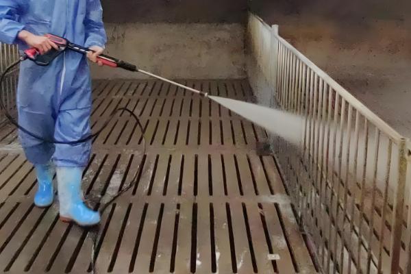 猪舍如何清洁，先将杂质清理干净