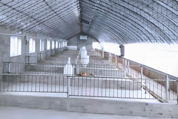 猪舍如何清洁，先将杂质清理干净