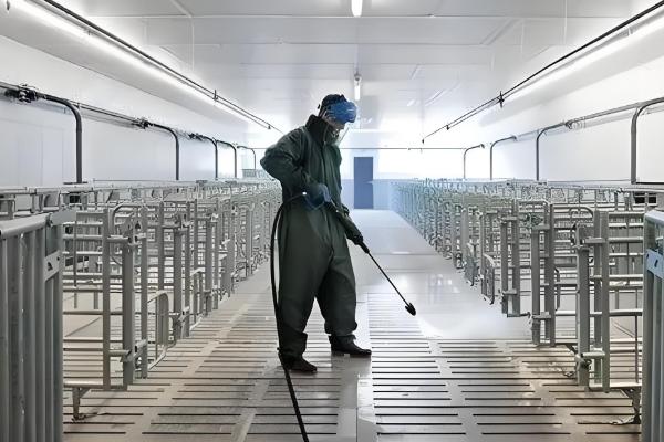 猪舍如何清洁，先将杂质清理干净