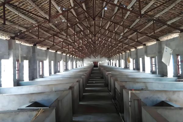 猪舍如何清洁，先将杂质清理干净