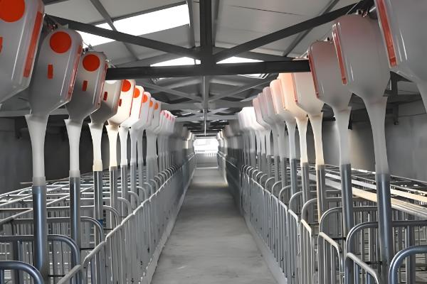 猪舍如何清洁，先将杂质清理干净