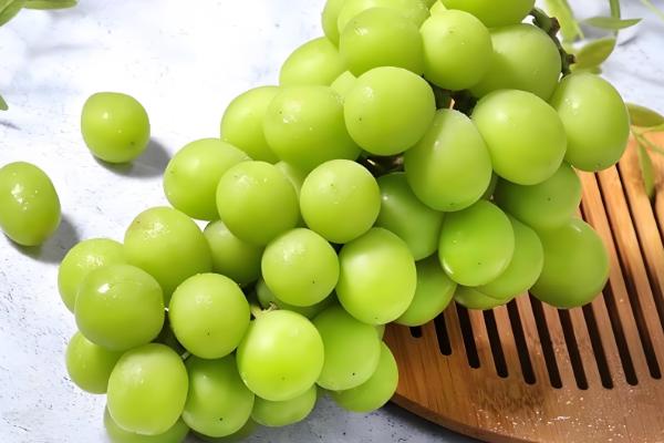 晚熟葡萄有什么好品种，阳光玫瑰、妮娜皇后等品种值得推荐