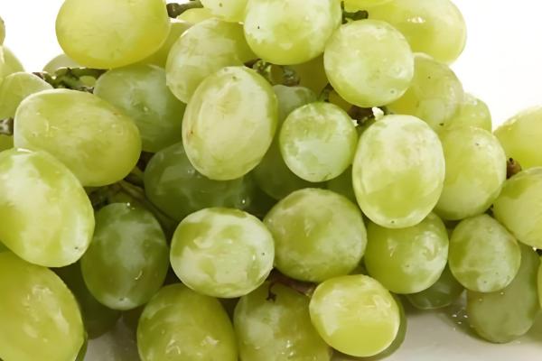 晚熟葡萄有什么好品种，阳光玫瑰、妮娜皇后等品种值得推荐