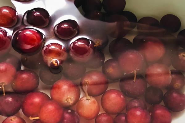 酿葡萄酒的方法，首先挑选熟透了的葡萄
