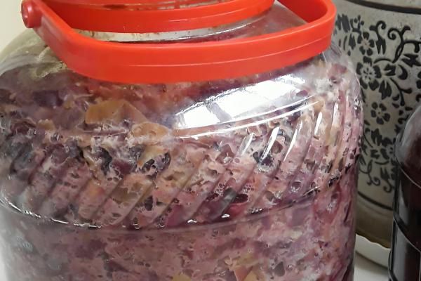 酿葡萄酒的方法，首先挑选熟透了的葡萄