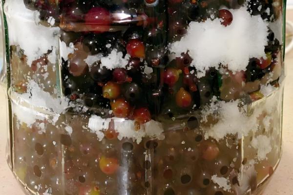 酿葡萄酒的方法，首先挑选熟透了的葡萄