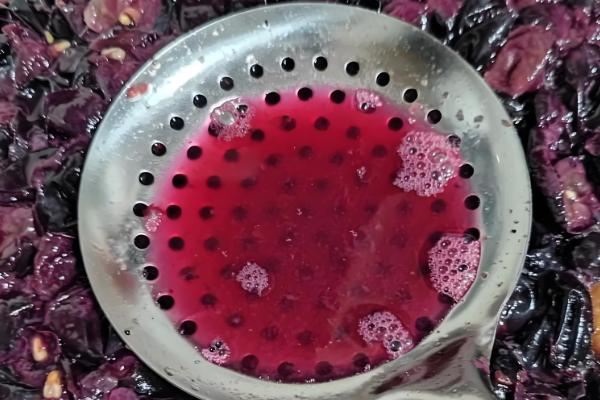 酿葡萄酒的方法，首先挑选熟透了的葡萄