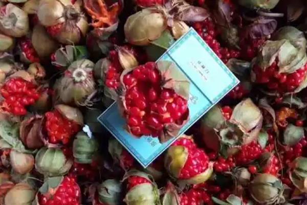 重楼种子的价格,价格大约在200-300元左右一斤