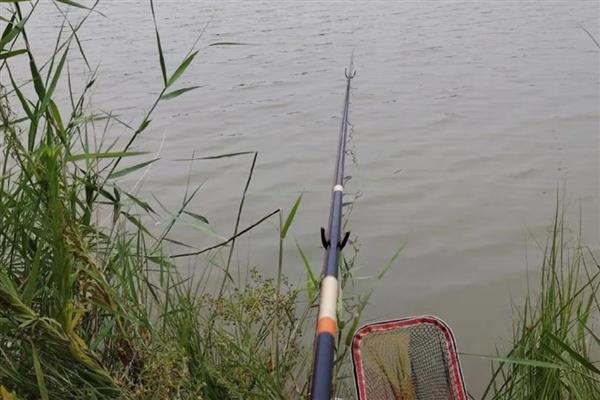 黑坑的钓鱼技巧，根据鱼的习性及时调整战术和钓法