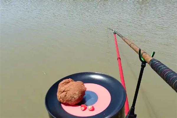 黑坑的钓鱼技巧，根据鱼的习性及时调整战术和钓法