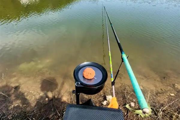 黑坑的钓鱼技巧，根据鱼的习性及时调整战术和钓法