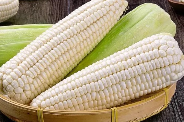 玉米为什么一年四季都有卖的,因为温室大棚栽培技术的普及