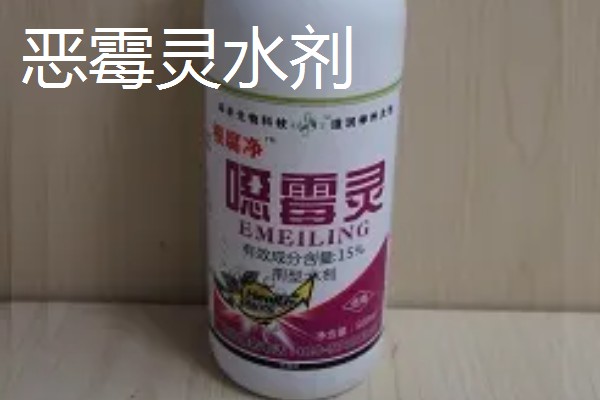 大白菜烂心打哪种药,可喷洒氯溴异氰脲酸