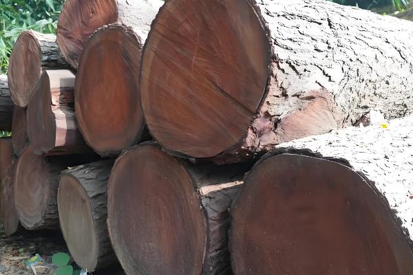 木材的种类，包括榆木、柳木等