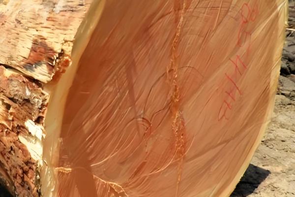 木材的种类，包括榆木、柳木等