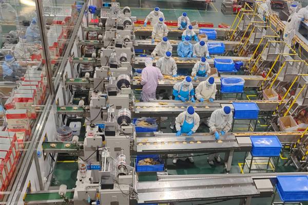 食品加工机械有哪些,可分为果蔬、饮料、面食等