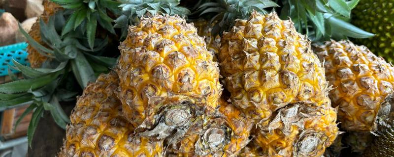 菠萝的存放时间，用冰箱冷藏可保存2-3天