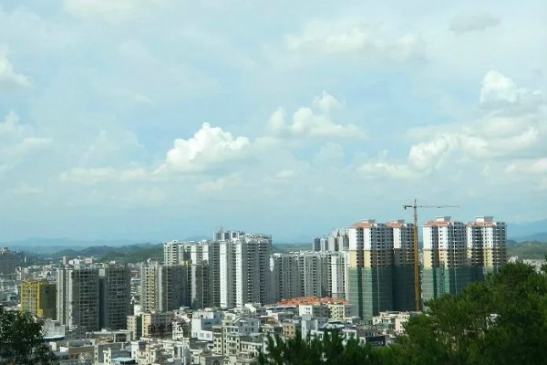 广东省高州市的水果特产，有高州香蕉、高州龙眼等