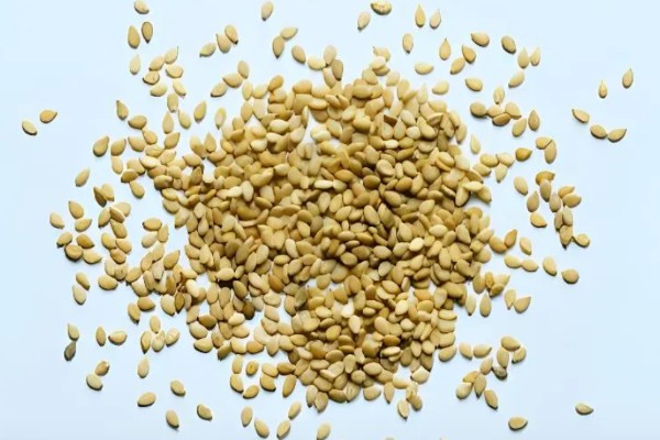 芝麻简介，是一年生直立草本植物