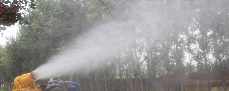 怎么预防园林植物出现药害，使用药害较小的药物是有效措施