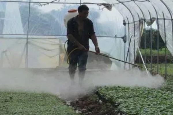 大棚内如何使用除草剂,首先要合理选用除草剂