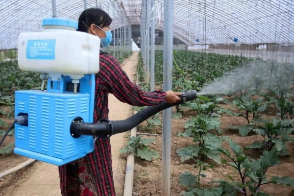 大棚内如何使用除草剂,首先要合理选用除草剂
