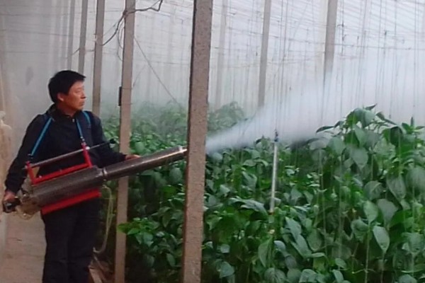 大棚内如何使用除草剂,首先要合理选用除草剂