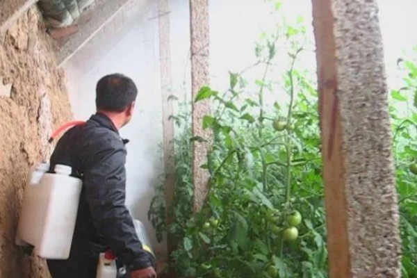 大棚内如何使用除草剂,首先要合理选用除草剂