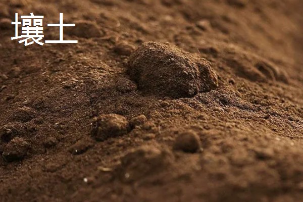 决定土壤质地的主要因素，主要因素是成土母质