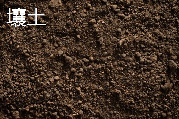 决定土壤质地的主要因素，主要因素是成土母质