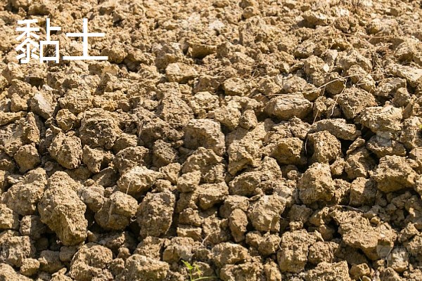 决定土壤质地的主要因素，主要因素是成土母质