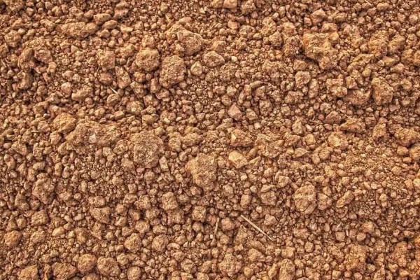 决定土壤质地的主要因素，主要因素是成土母质