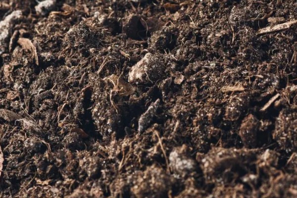 决定土壤质地的主要因素，主要因素是成土母质