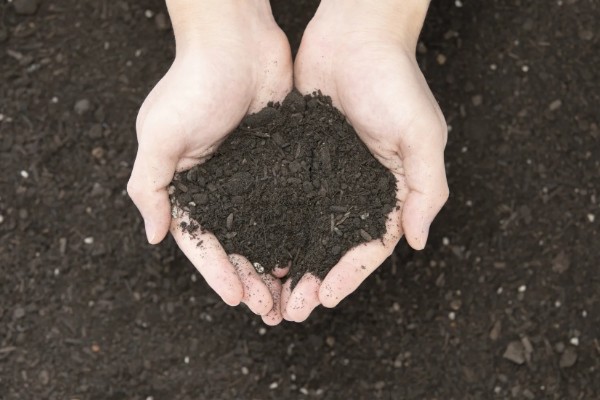 决定土壤质地的主要因素，主要因素是成土母质
