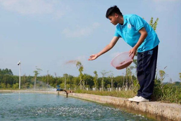 鳝鱼是不是鱼，鳝鱼是鱼