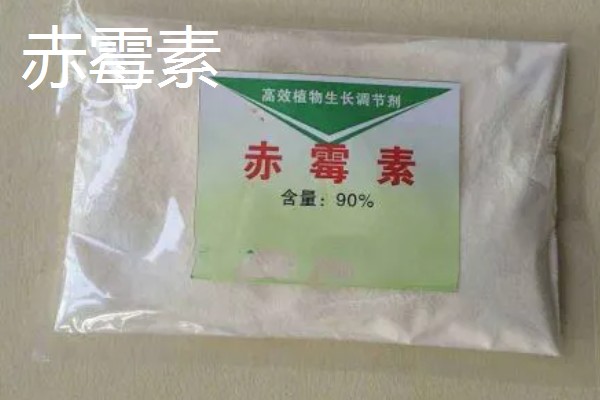 油菜打什么药可增产,可以打赤霉素、多效唑等