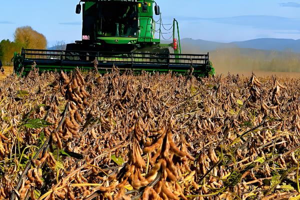 联合收割机工作堵塞原因,可能是中央搅龙堵塞所致