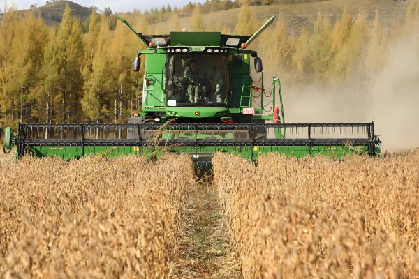 联合收割机工作堵塞原因,可能是中央搅龙堵塞所致