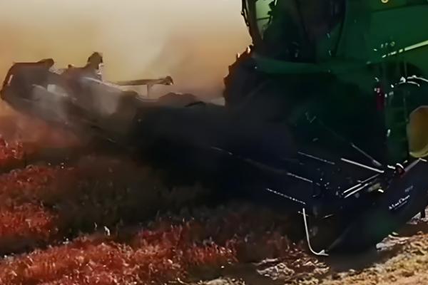 联合收割机工作堵塞原因,可能是中央搅龙堵塞所致