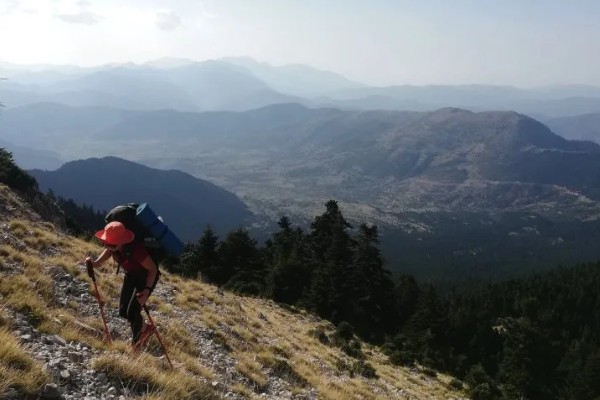 被蜜蜂蛰了如何解决，拔出毒刺再用肥皂水清洗伤口