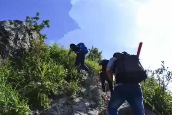 被蜜蜂蛰了如何解决，拔出毒刺再用肥皂水清洗伤口