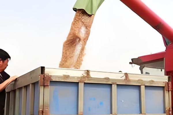 联合收割机工作堵塞原因,可能是中央搅龙堵塞所致