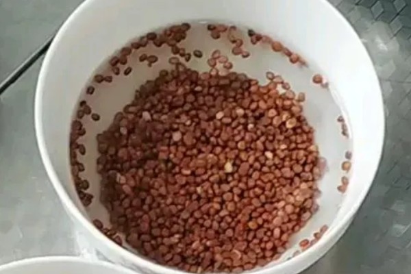 生菜如何催芽,放进到冷水中浸泡一段时间