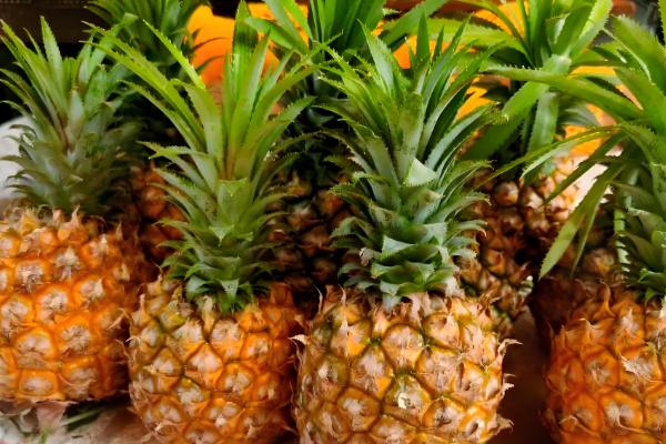 菠萝的存放时间，用冰箱冷藏可保存2-3天