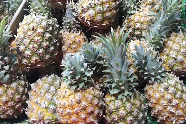 菠萝的存放时间，用冰箱冷藏可保存2-3天