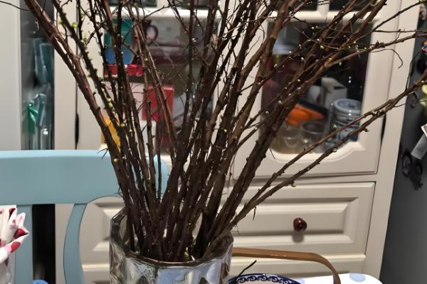 干枝雪柳的养殖方法，在生长期需要做好追肥管理